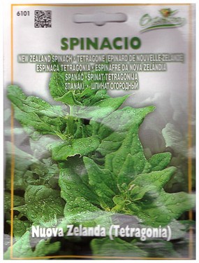 Spinacio nuova zelanda tetragonia.jpg