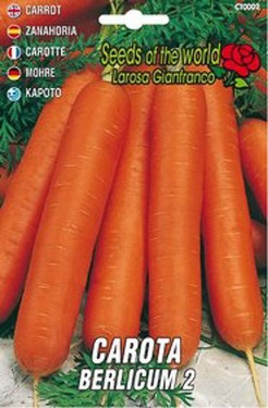 carota berlincum 2.jpg
