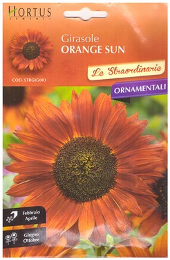 Girasole orange sun.jpg
