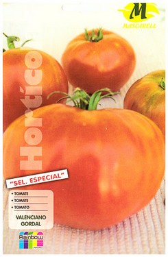 pomodoro valenciano gordal.jpg