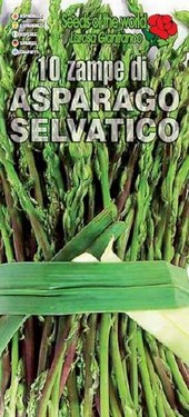 10 zampe asparago selvatico.jpg